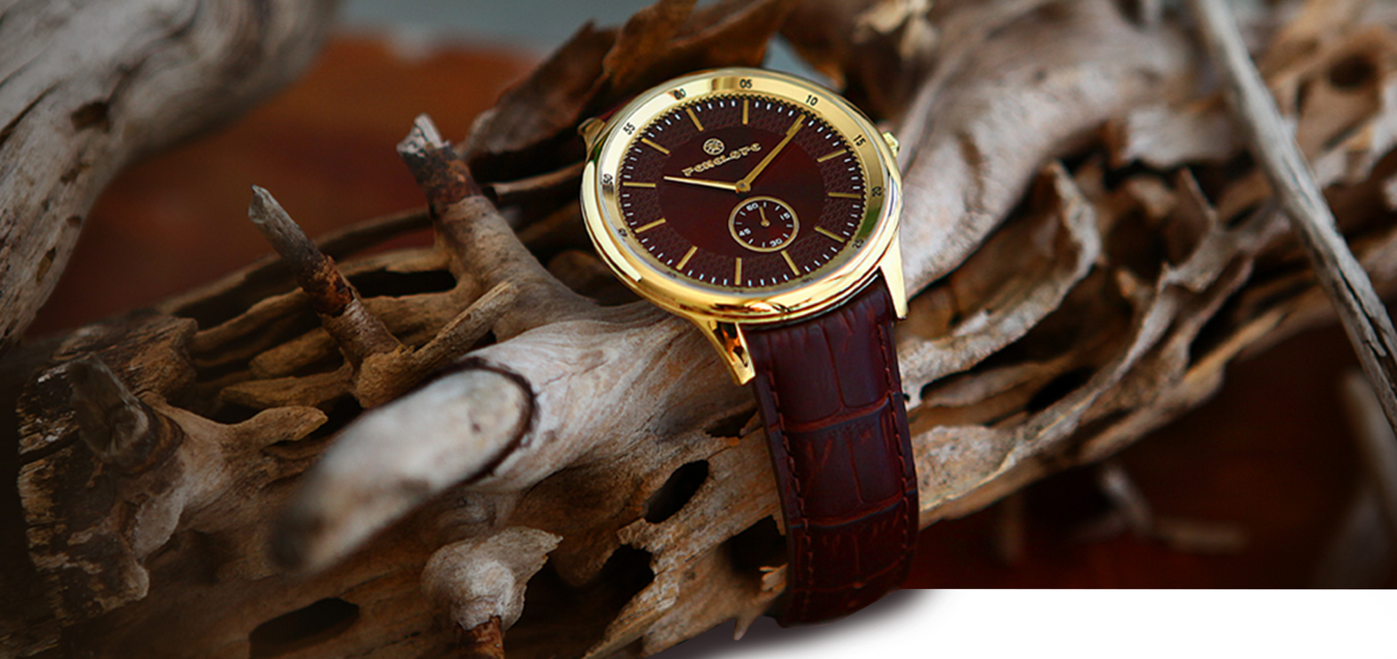 Paris Watch