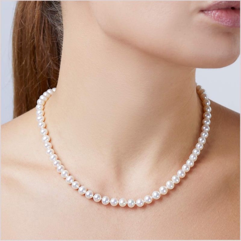 Amy Collar
