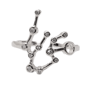 Aquarius | Ring - penelope-it.com